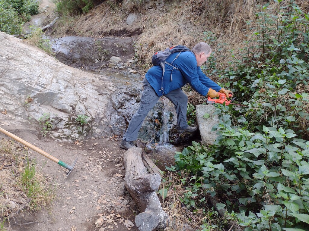 Clearing vegetation around boulder in front of cascade.