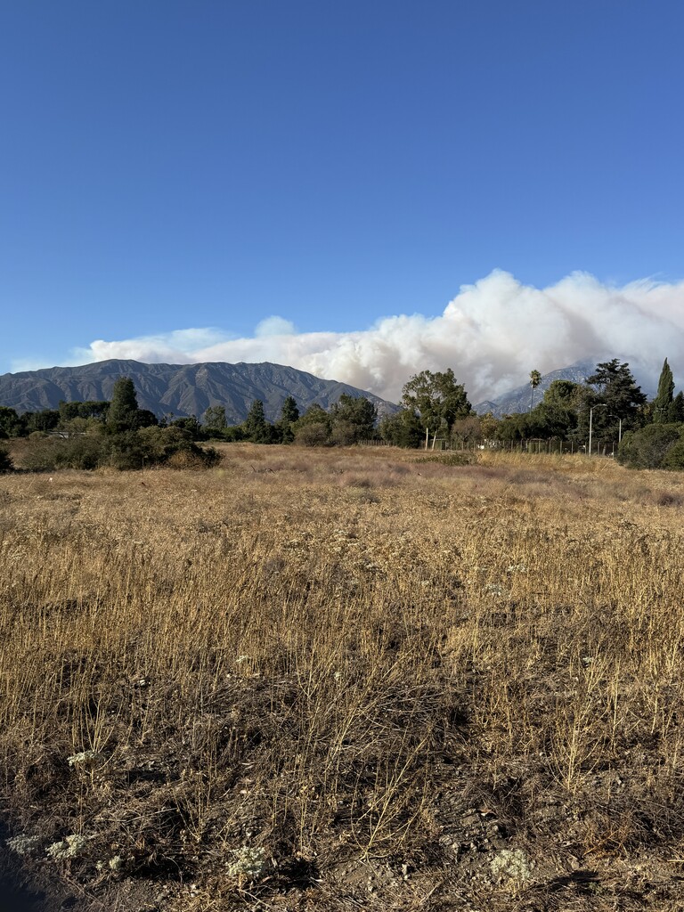 View from Claremont