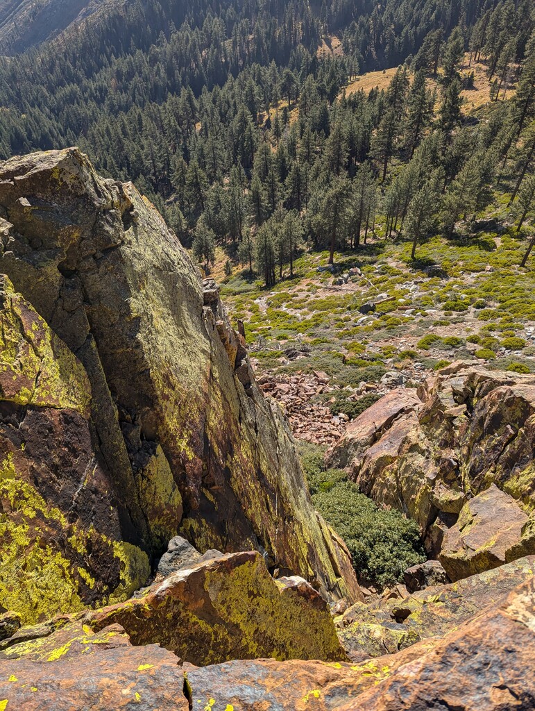 cool lichen covered rock