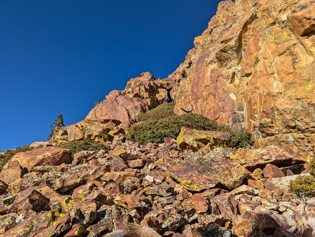 looking back up at the vegetated gully