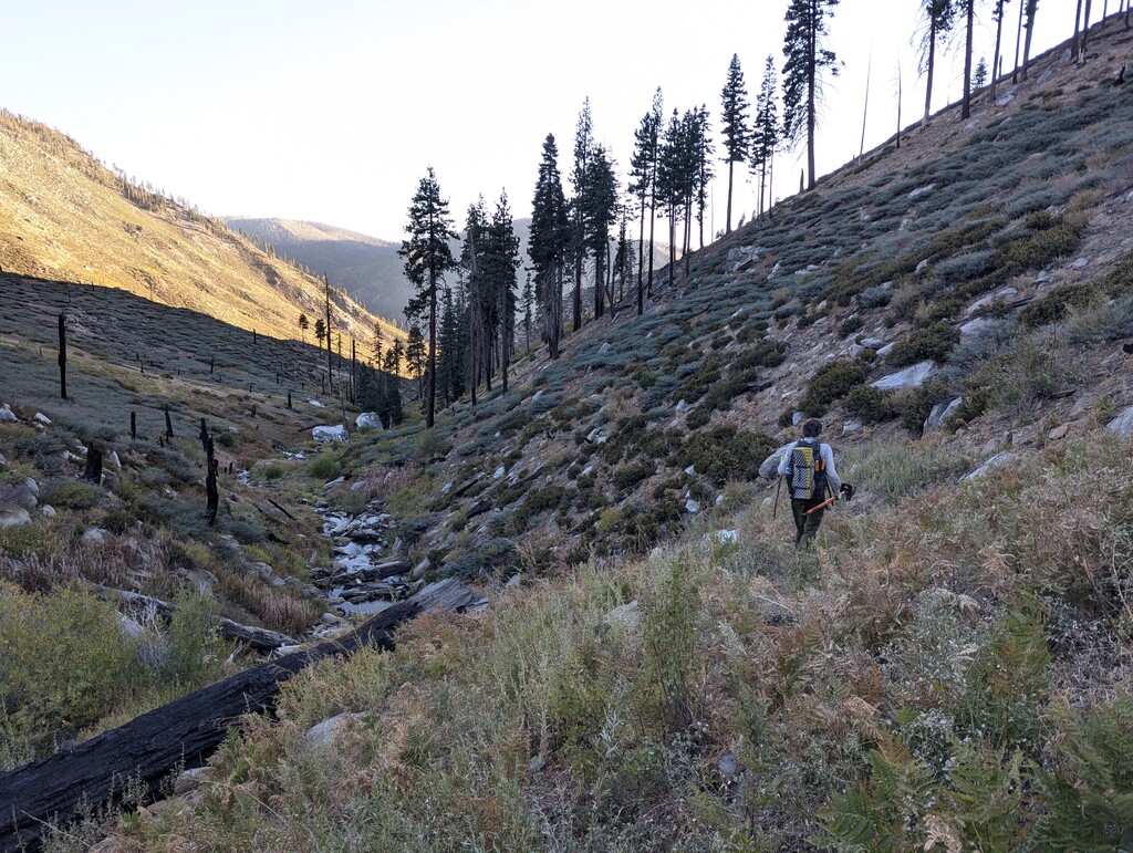 hiking back on the trail