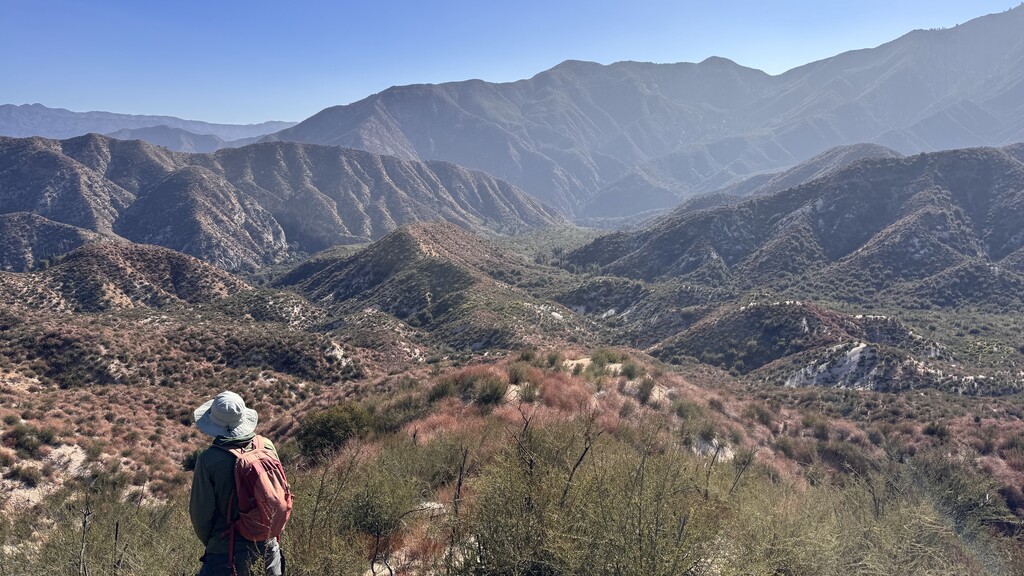 Looking down our ridge