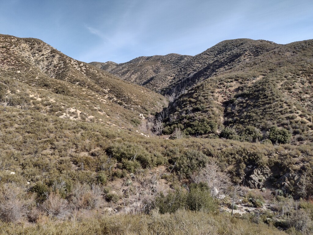 Looking up the east branch of Lynx Gulch.