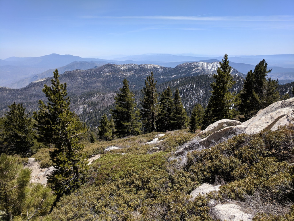 View looking south from Wellman Divide.