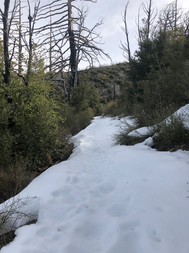 The PCT was snowy, but its shoulders were dry