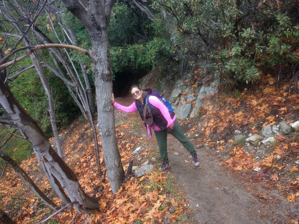 Cecelia on the Mt. Wilson trail.