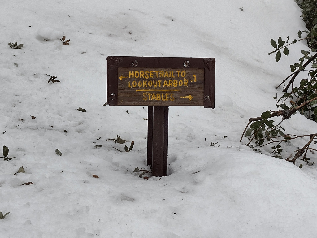 Half-buried sign for historic trail near Mt. Lowe camp.
