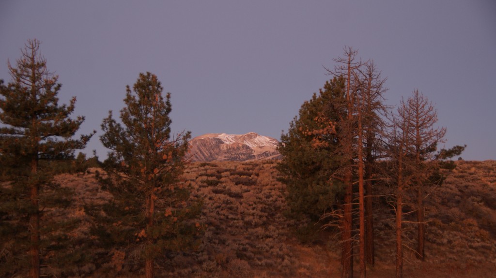 Mammoth in the morning alpenglow.